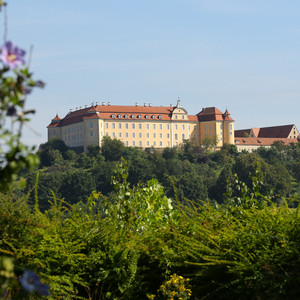 Stadtführung "Schloss ob Ellwangen"